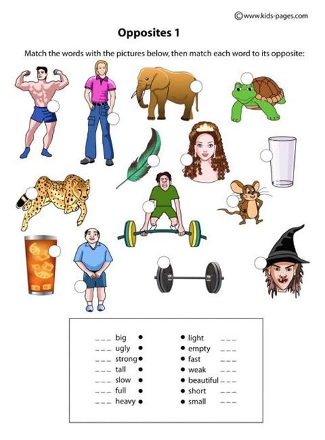 It's also a fun way to introduce or review vocabulary with students. Opposite Adjectives 1 worksheets | Adjectives exercises ...