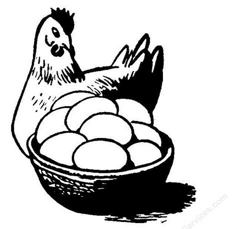 Egg Clipart Poultry Picture 2644999 Egg Clipart Poultry