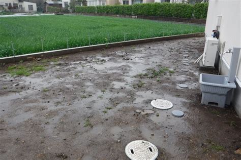 中央園芸「水はけの悪い庭を改善する」 | 庭 水はけ, 庭の排水, 庭
