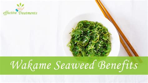 Wakame Seaweed The 6 Crucial Benefits With Recipes