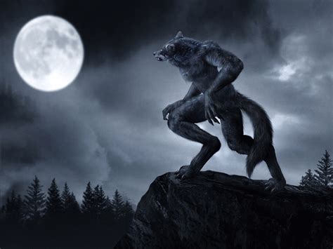 Werewolf Werewolves Photo Fanpop