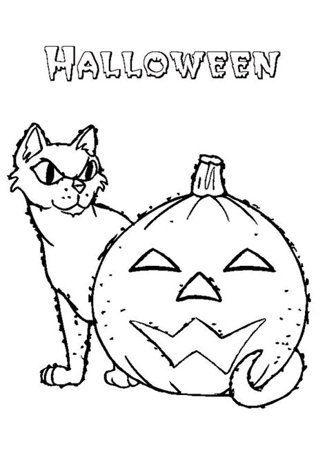 Citrouille Halloween Chat / Chat Felin Avec Chapeau De Sorciere A La