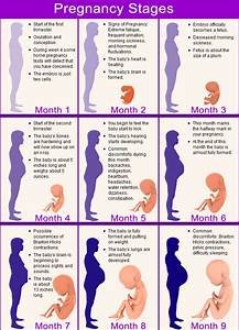 Quick Facts About Each Stage Of The Pregnancy Calendar Lovetoknow