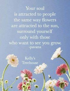 Motivational quotes for success positive quotes love pet animal quotes christian life pet shop dog lovers labrador retriever life quotes. 7 Kelly's tree house quotes ideas | house quotes, tree ...