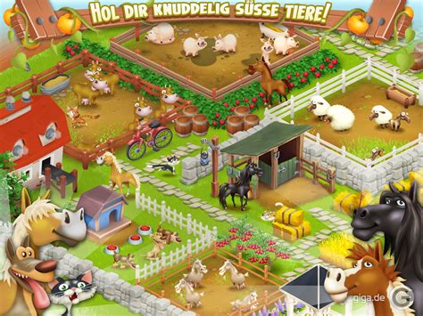 We did not find results for: Hay Day für PC: So gibt's die Farm auf Windows - GIGA