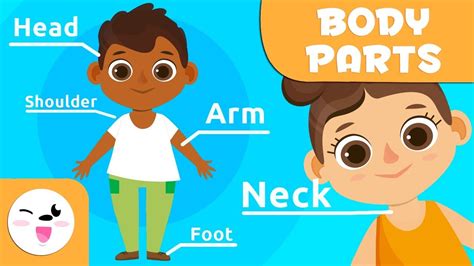 The Human Body For Children Body Parts For Kids Youtube