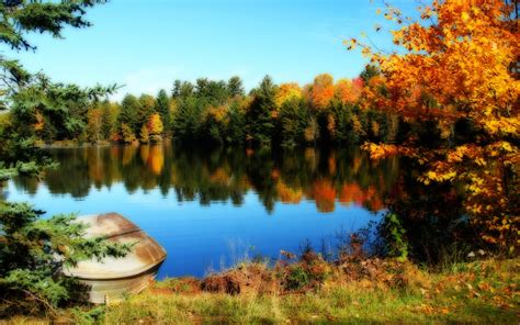 Wallpaper Lake And Trees Of The Beautiful Fall 2560x1600 Hd Picture Image