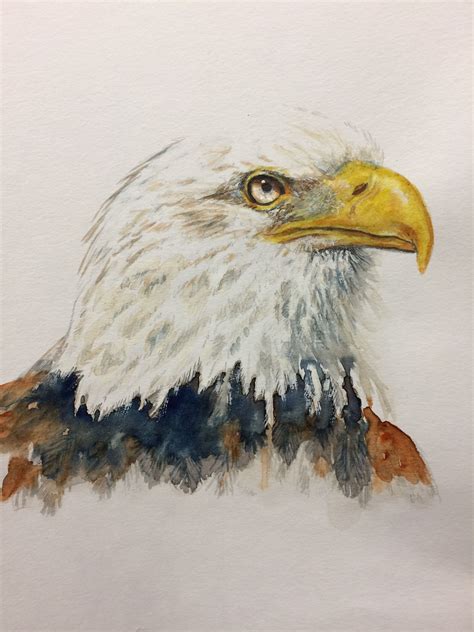 Bald Eagle Watercolor By Laura Kirste Campbell Eagle Painting Diy