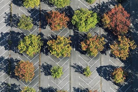 Parking Place Public Garden Architecture Park Landscape Landscape