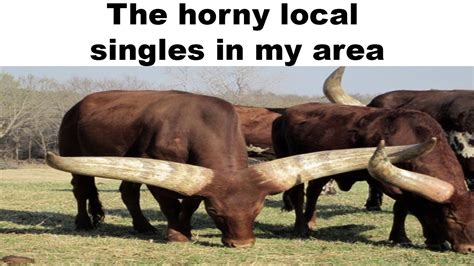 Horny Local Singles In My Area Memes Youtube