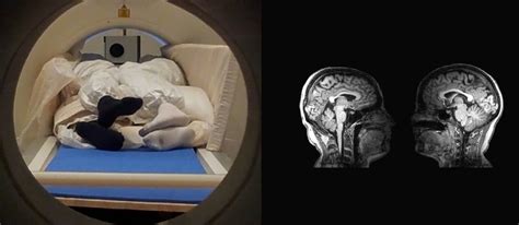 two person together mri scans of couples reveal how the brain perceives touch health everyday
