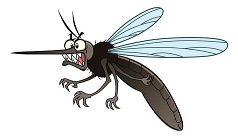 Angry Mosquito Stock Illustration Download Image Now Istock