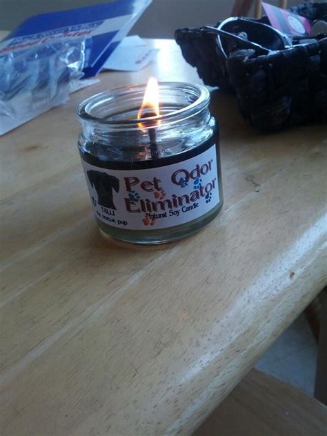 Get it as soon as thu, jun 24. Ashlees favorite Candle Crest candle, "Tali the Rescue Pup ...