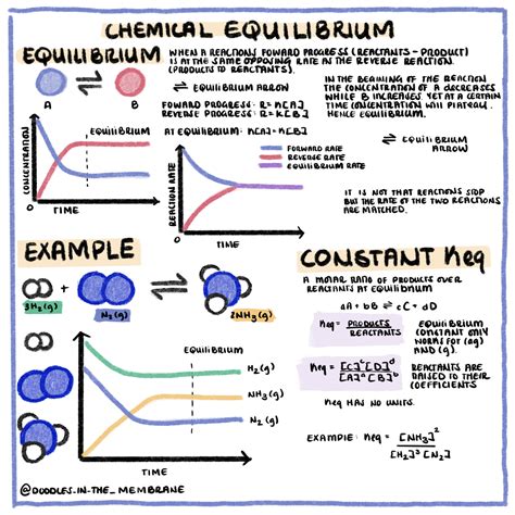 Chemical Equilibrium And Reactions Quotients Infographics Doodles In
