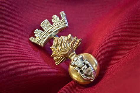 The History Of A Regiment In Its Cap Badge Royal Irish Virtual