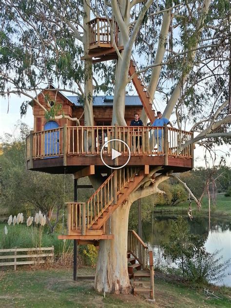 Sonoma County Vineyard Treehouse Şirin Ev Yaşamı Fantazi Evi Rustik