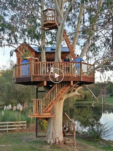 Sonoma County Vineyard Treehouse Beautiful Tree Houses Tree House