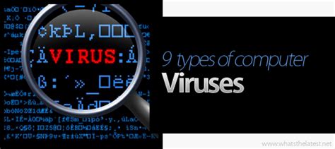 For instance, norton antivirus basic can remove many infections that are on your computer. 9 Types of Computer Viruses | technozine
