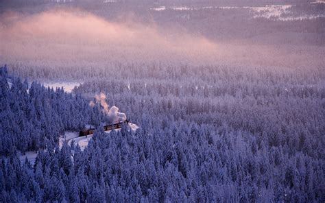 Wallpaper Landscape Forest Nature Snow Winter Smoke Train