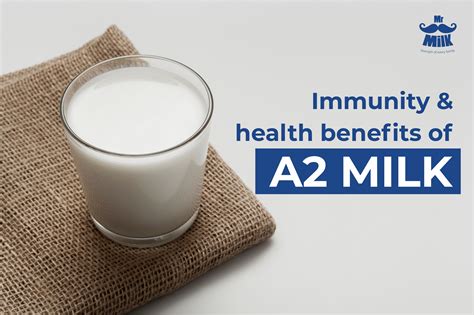 Immunity And Health Benefits Of A2 Milk Desi Cow Milk Mrmilk
