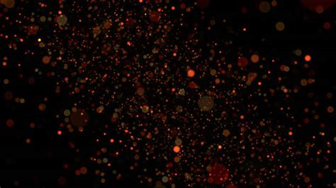 710 Fireflies Texture Stock Photos Pictures And Royalty Free Images