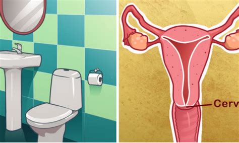 Cervical cancer is one of the most common cancers to affect women. What The Color Of Your Pee Says About Your Health - MyShepherd