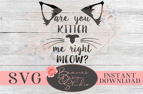 Are You Kitten Me Right Meow Svg Cat Lover Svg Design Cat Etsy