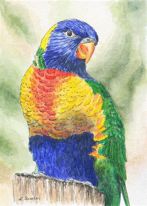 Bird Drawing Of Parrot Aceo Original Sketch Bird Lover T Etsy