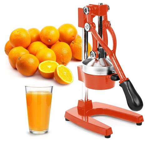 The 8 Best Citrus Juicers Of 2021