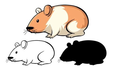 Hamster Vector Art Icons And Graphics For Free Download