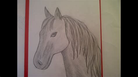 Das fell, tier, der schmetterling ist schön, auffallend gezeichnet. Zeichnen lernen für Anfänger. Pferd malen. Pferdeportrait ...