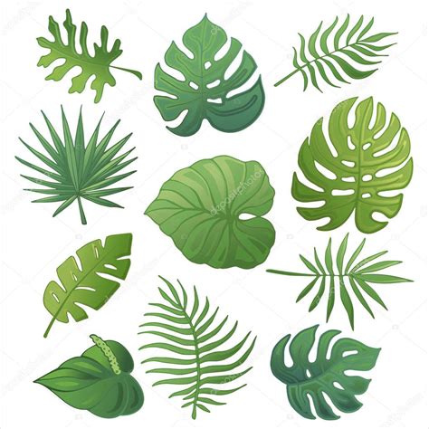 Trendy summer tropical palm leaves, jungle leaves_3 — Stock Vector © ofkosnekras.gmail.com ...