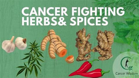 8 Cancer Fighting Herbs And Spices You Should Eat More Of Cancer Wisdom