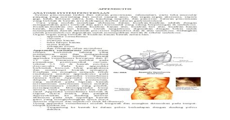 Akut Appendicitis Pdf Document