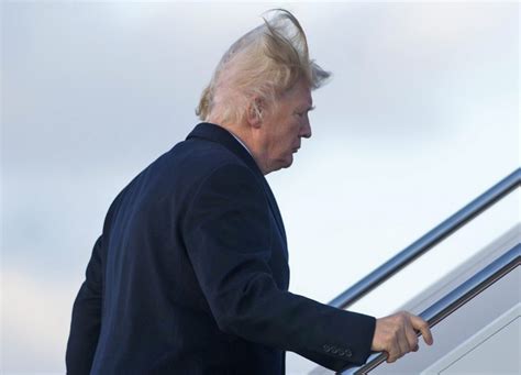 See It Gust Of Wind Exposes President Trumps Bare Scalp New York Daily News