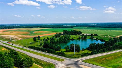 Super sniffers bed bug and termite treatments. Super Sod Site | Development Authority of Peach County ...