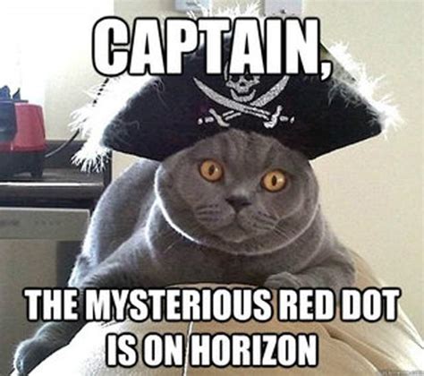 Shared Across The 7 Seas These 33 Hilarious Pirate Memes Will Make You Go Yo Ho Ho