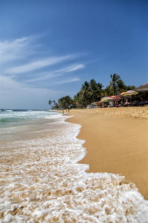 Hikkaduwa Beach In Sri Lanka Editorial Photo Image Of Beach Coconut