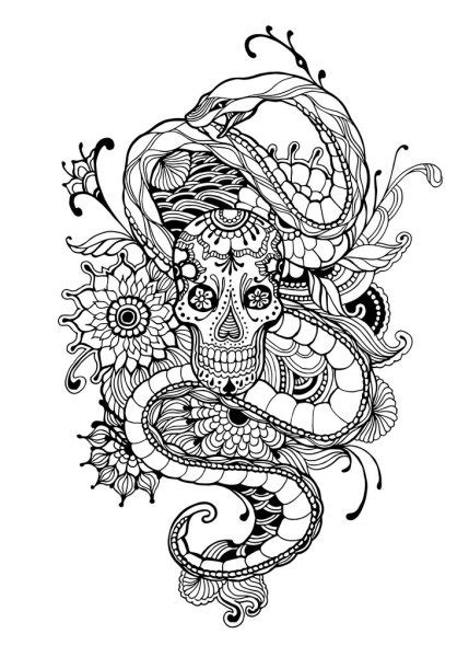 Do not color anything in yet. Skull and Snake - adult coloring page. Hand drawn - Skull ...