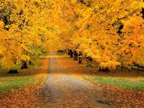 Hd Autumn Wallpapers Awesome Road Hd Autumn Wallpapers 30282