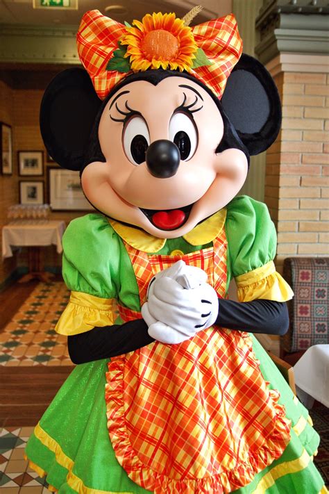 Minnie Mouse Minnie Mouse Disneyland Disney Friends Mickey Mouse