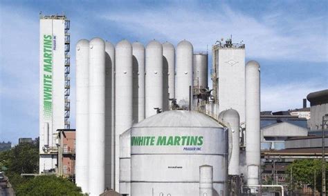 Top buyers of white martins from around the world. White Martins ganha prêmio 'Faz diferença' pela categoria ...