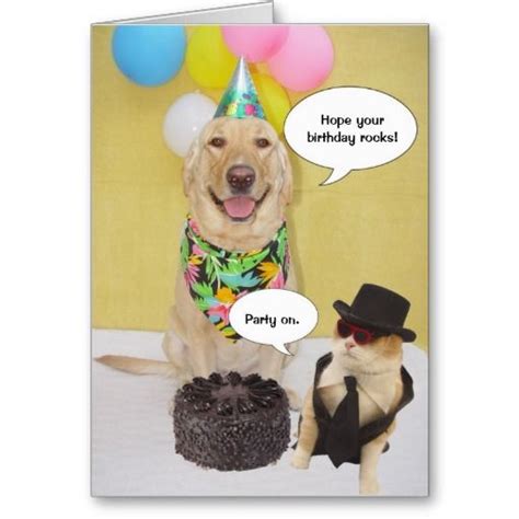 Funny Birthday Card Funny Birthday Cards Funny Birthday