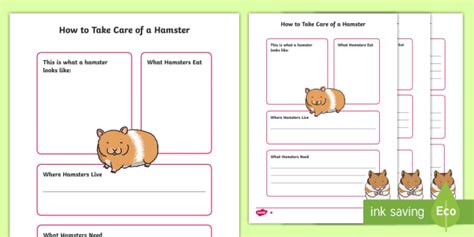 How To Take Care Of A Hamster Fact File Teacher Made