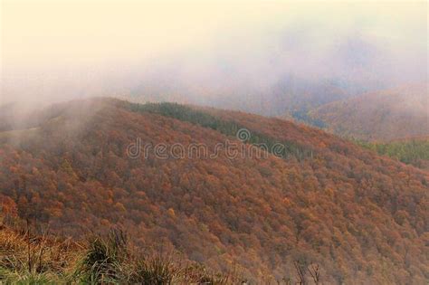 Range Of High Mountains Covered With Colorful Trees In Autumn On A