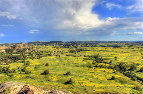 Grasslands And Prairie Landscape At Theodore Roosevelt National Park