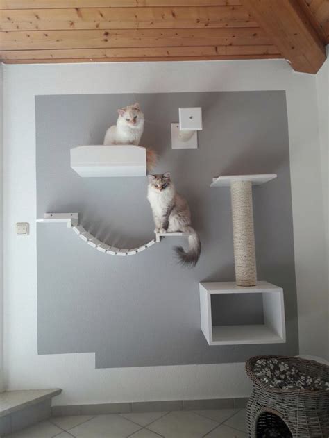 Weil in der wohnung die natürliche. Katzenbaum für große Katzen / Kratzbaum für die Wand ...