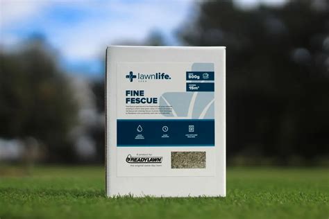 Fine Fescue Grass Seed Lawn Care Products Readylawn