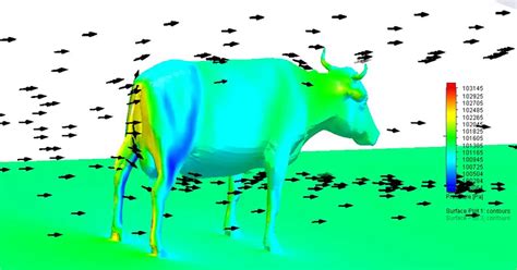For Those Who Keep On Posting Aerodynamics Of A Cow Here Is A