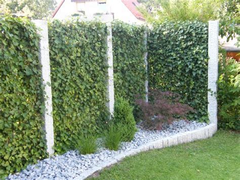 Schmale heckenpflanzen für sichtschutz im kleinen garten. sichtschutz garten pflanzen - Google-Suche | Garten ...